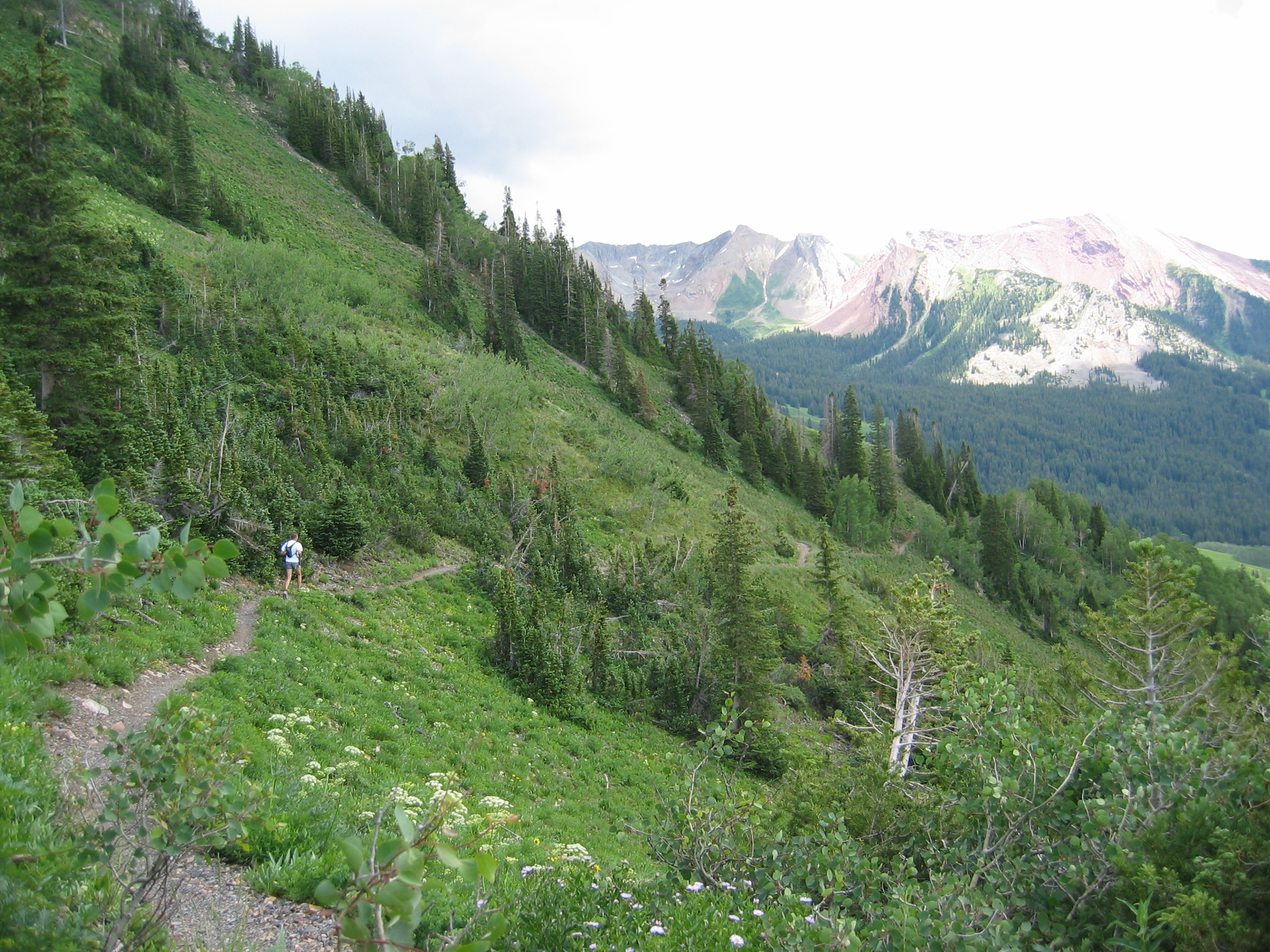 GMU 55 - Gunnison County