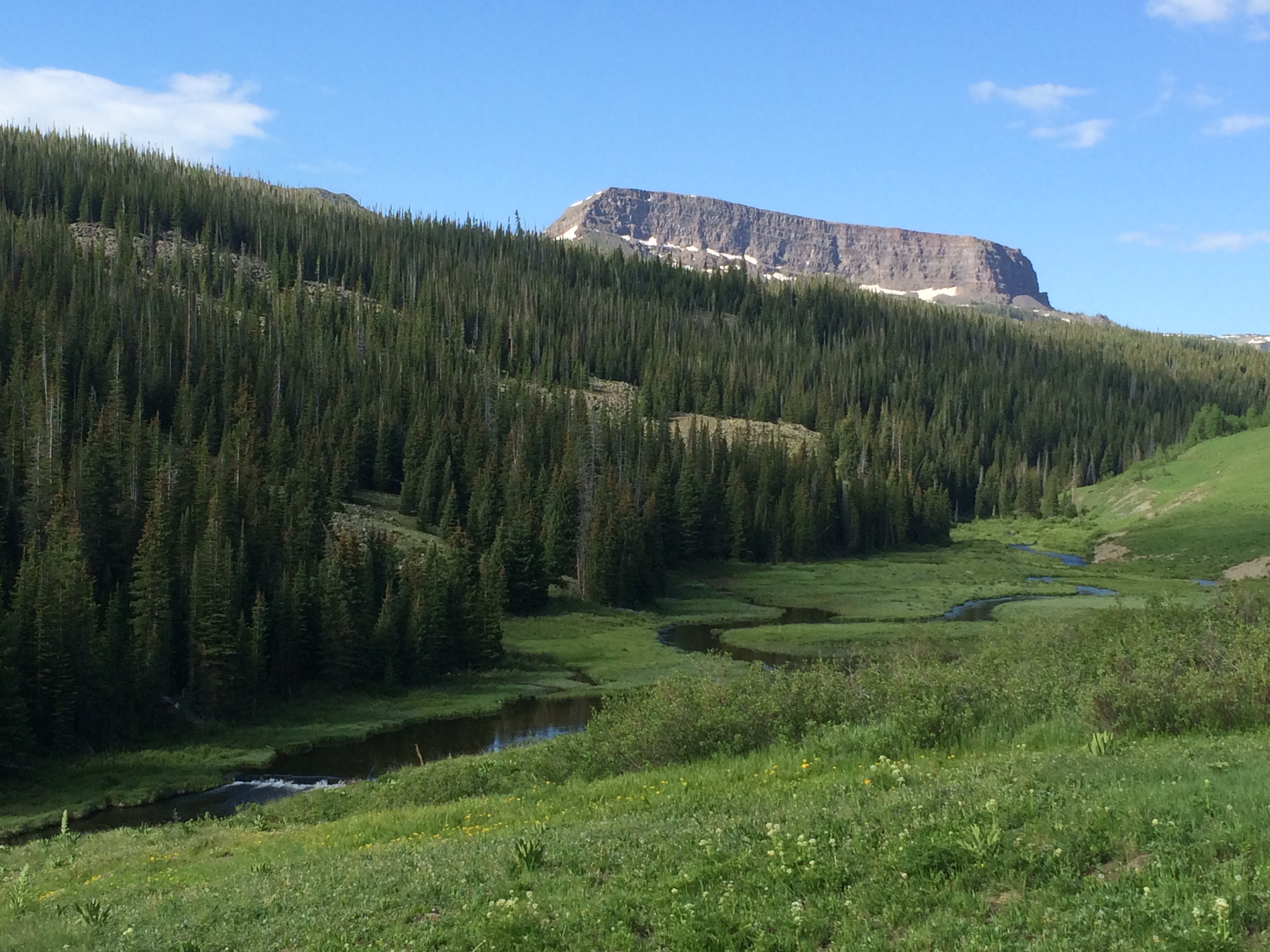 GMU 231 - Routt, Rio Blanco, and Garfield Counties