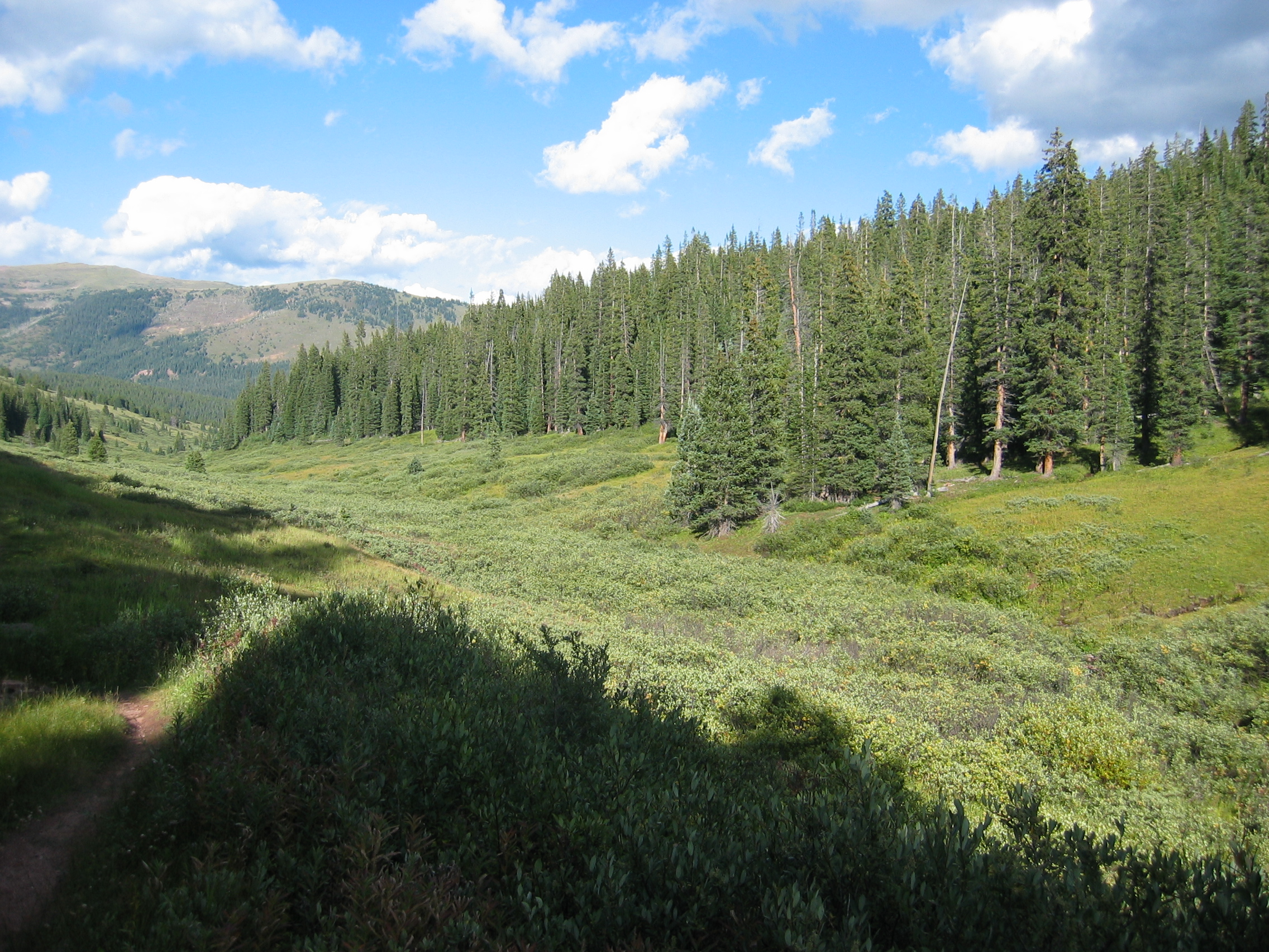 GMU 45 - Eagle and Pitkin Counties