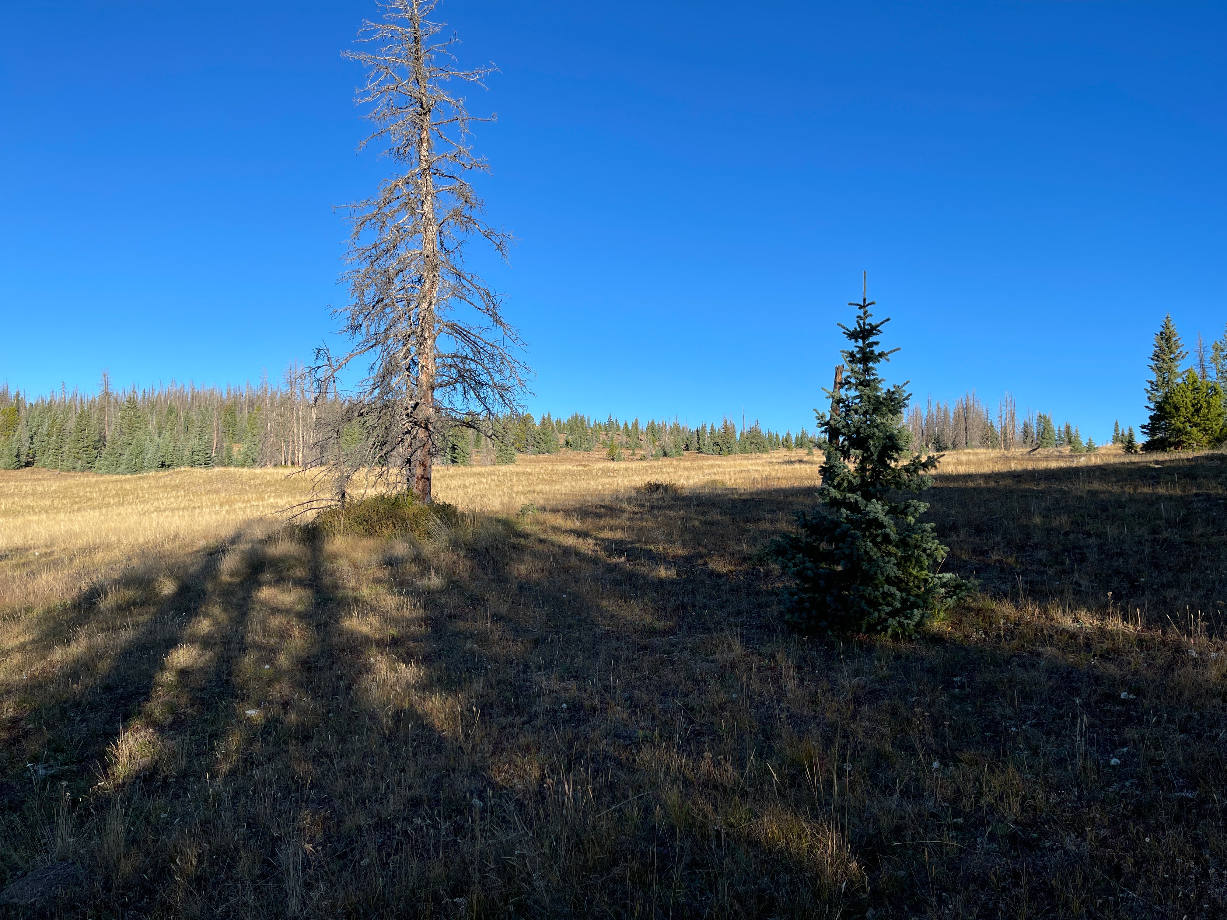 GMU 681 - Saguache County