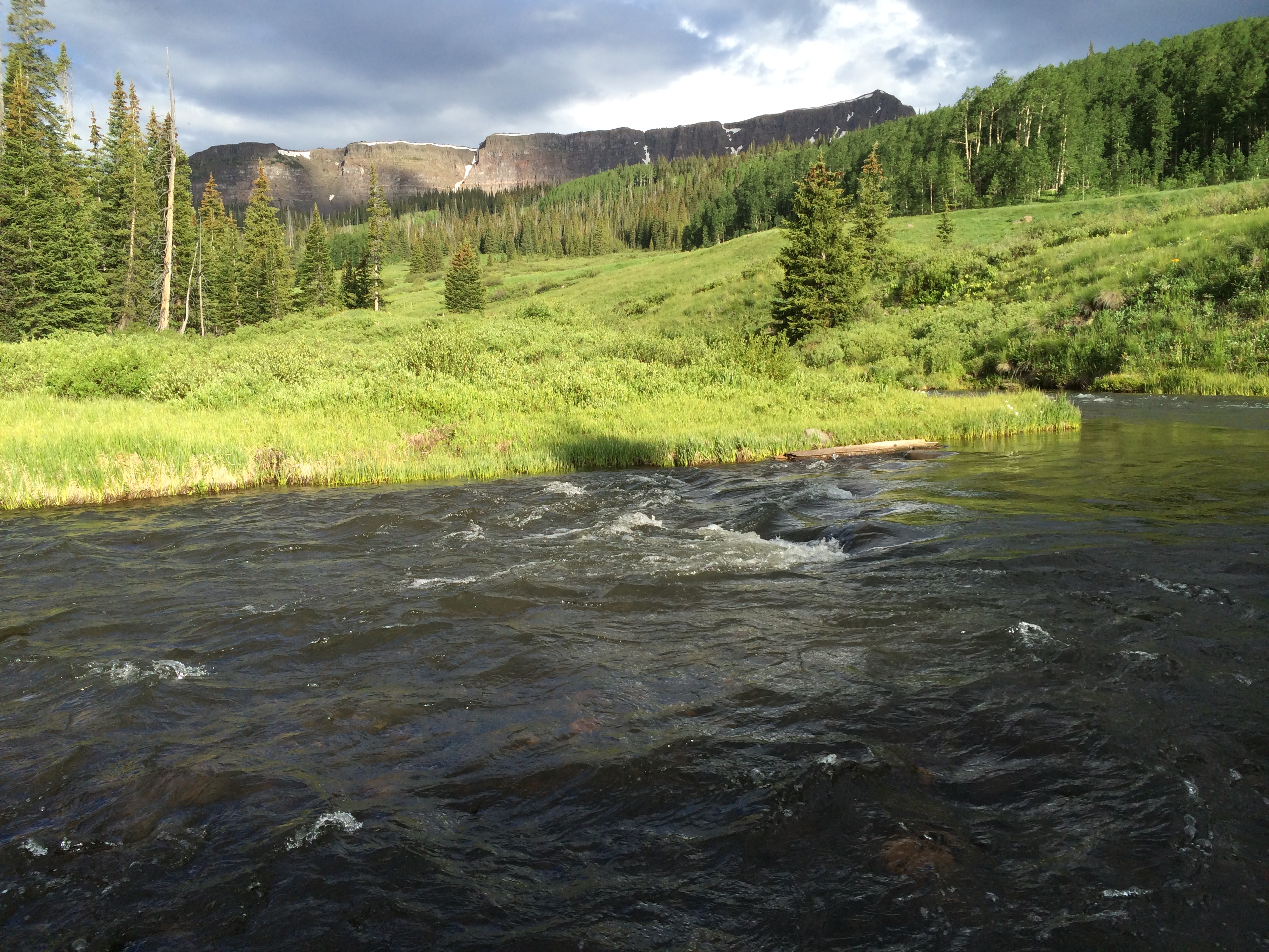 GMU 231 - Routt, Rio Blanco, and Garfield Counties