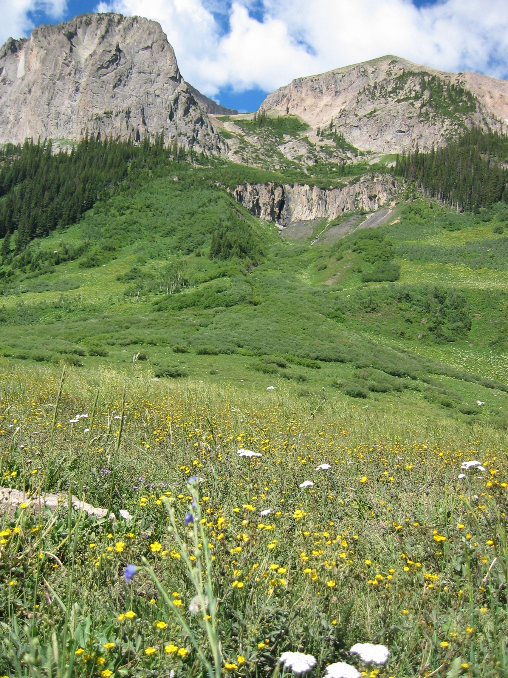 Elk Hunting in Colorado's GMU 55 - Gunnison County - HuntScore