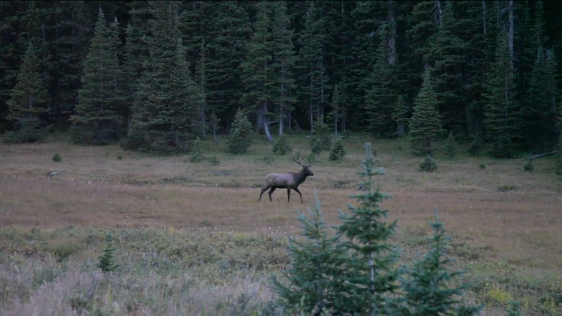 GMU 55 - Gunnison County