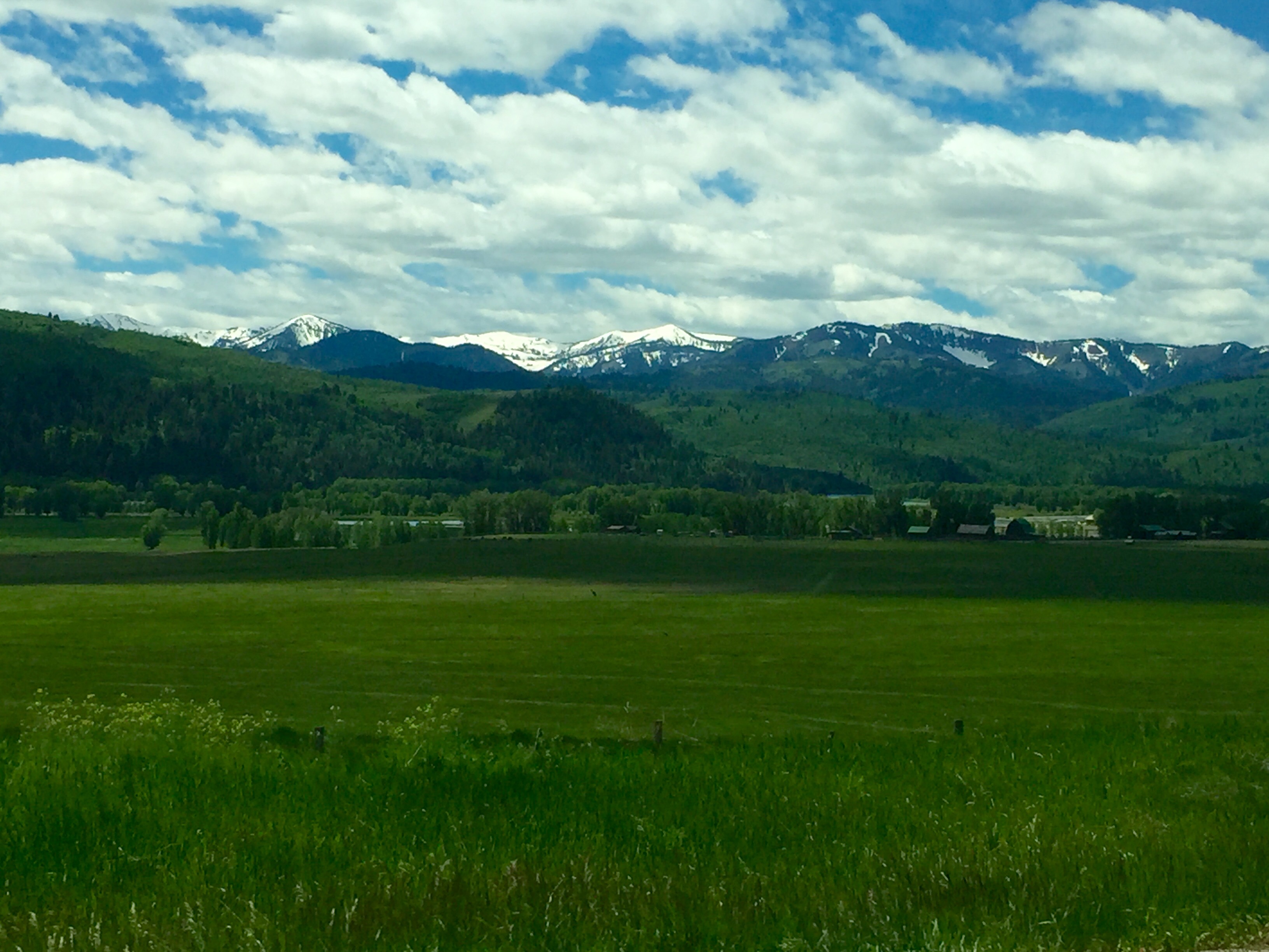 Hunt Area 84 - Lower Hoback