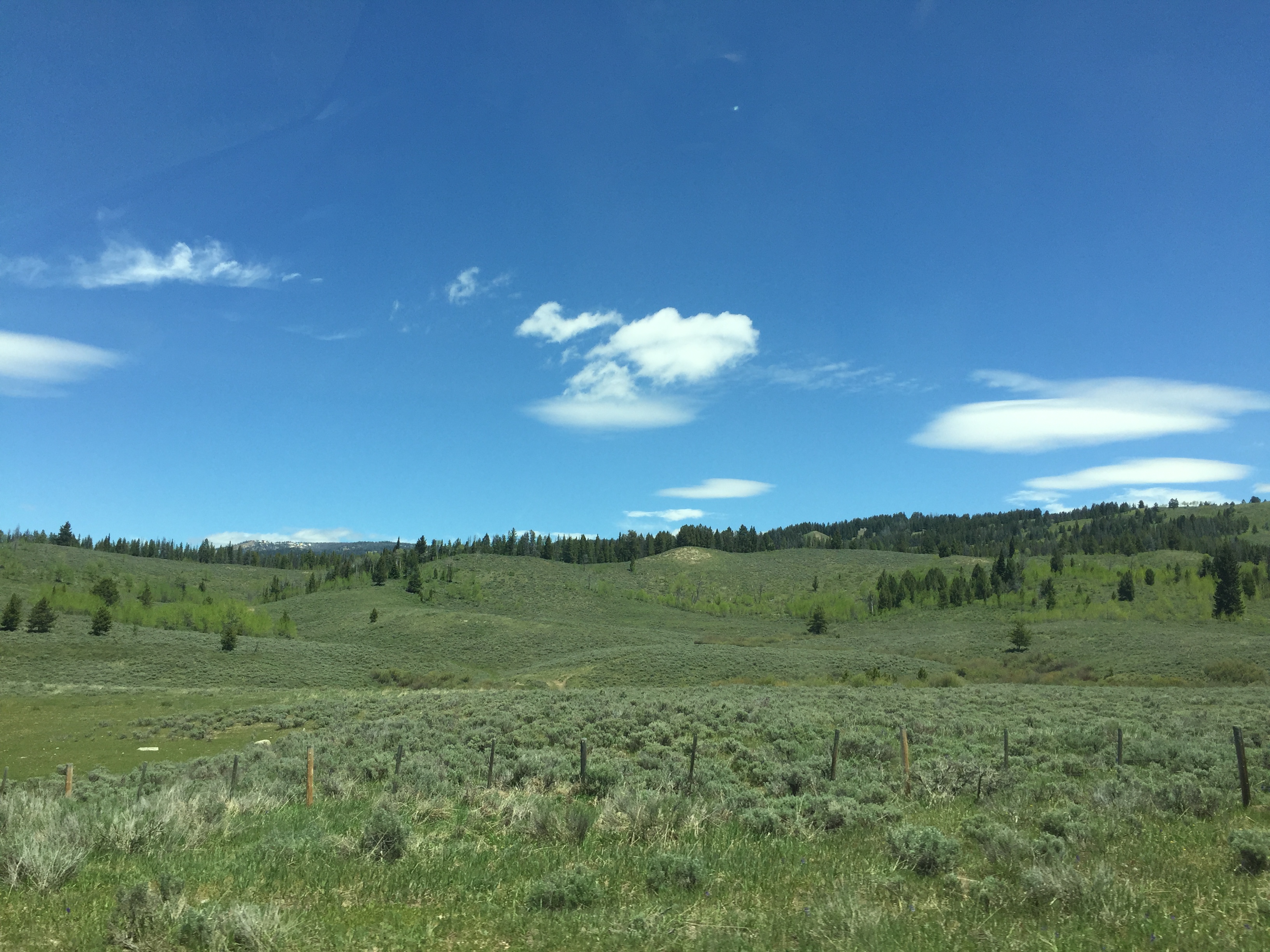 Hunt Area 87 - Raspberry Ridge