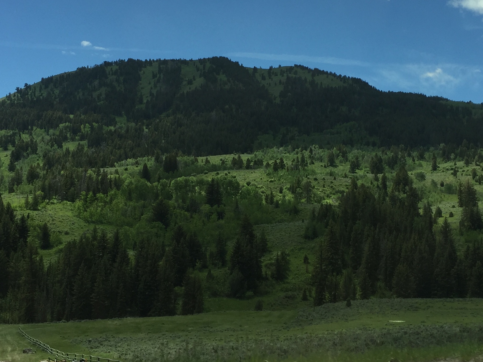 Hunt Area 84 - Lower Hoback