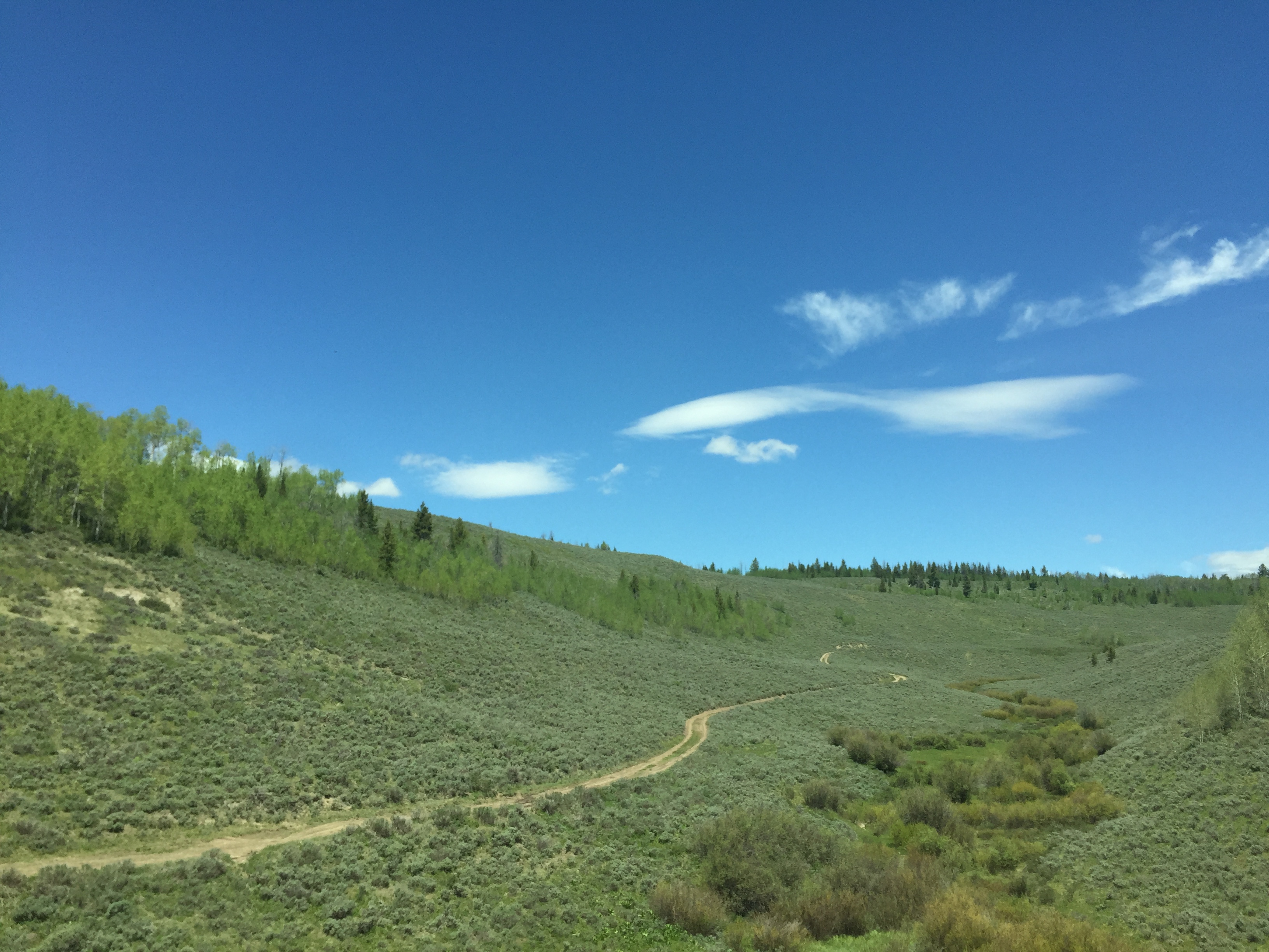 Hunt Area 87 - Raspberry Ridge