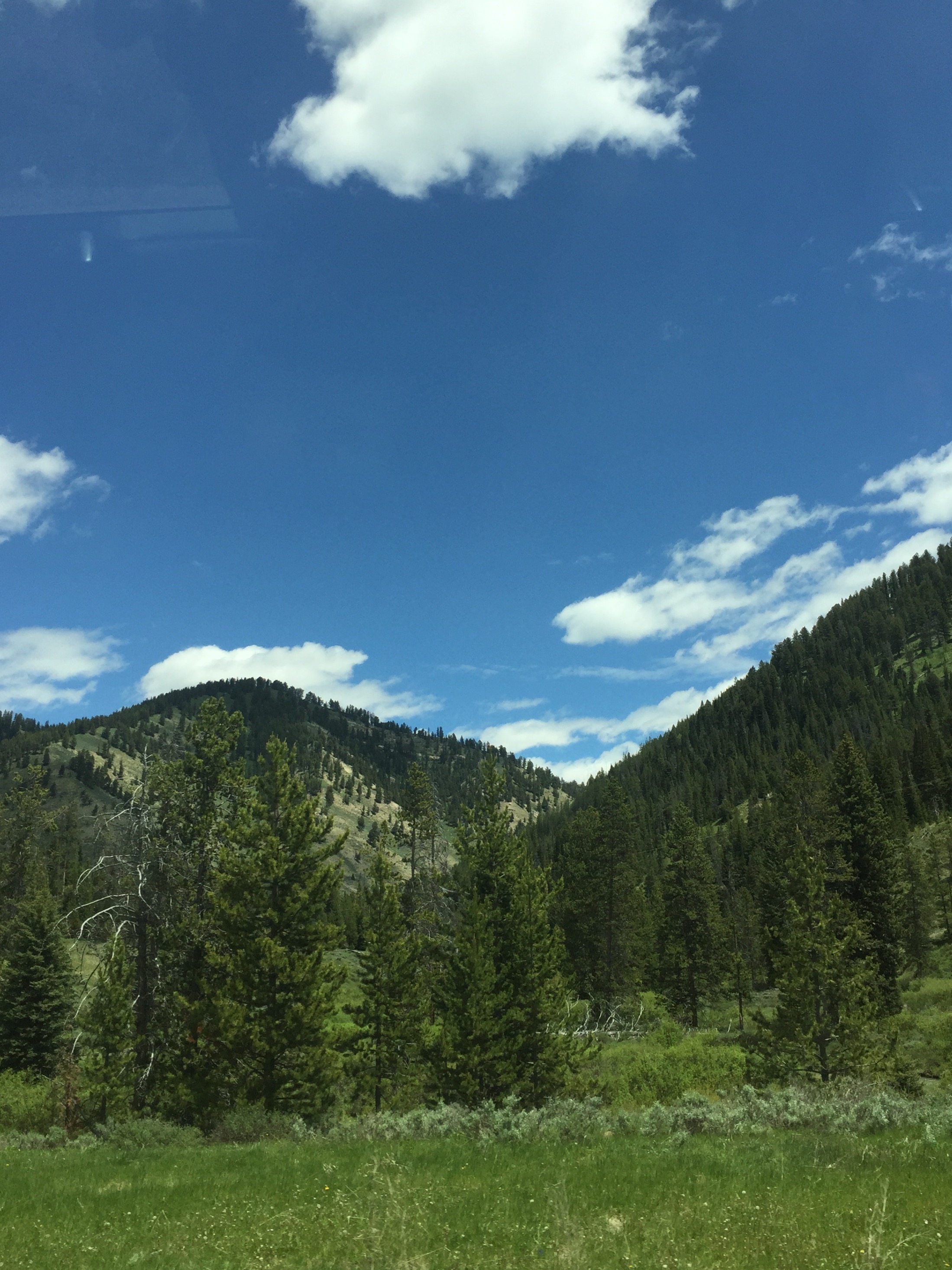 Hunt Area 84 - Lower Hoback
