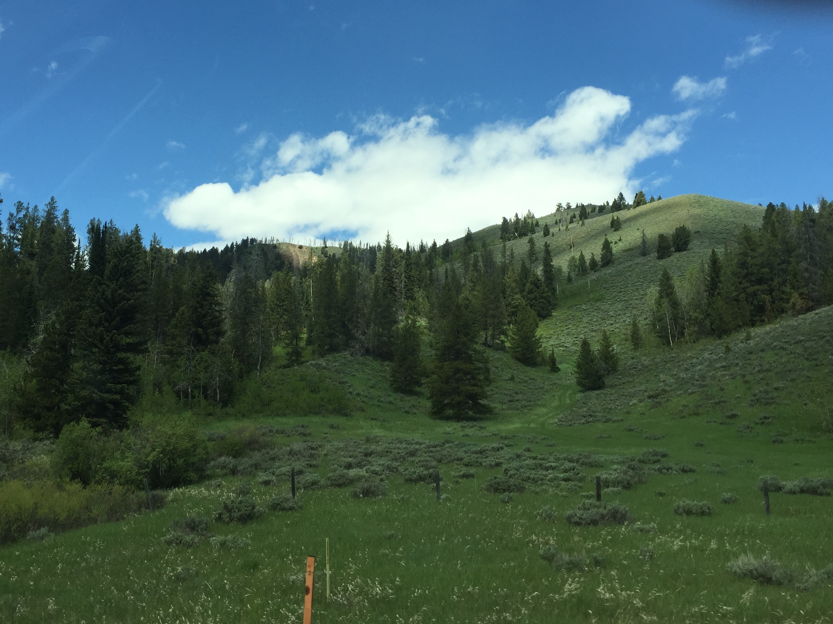 Elk Hunting in Wyoming's Hunt Area 84 - Lower Hoback - HuntScore