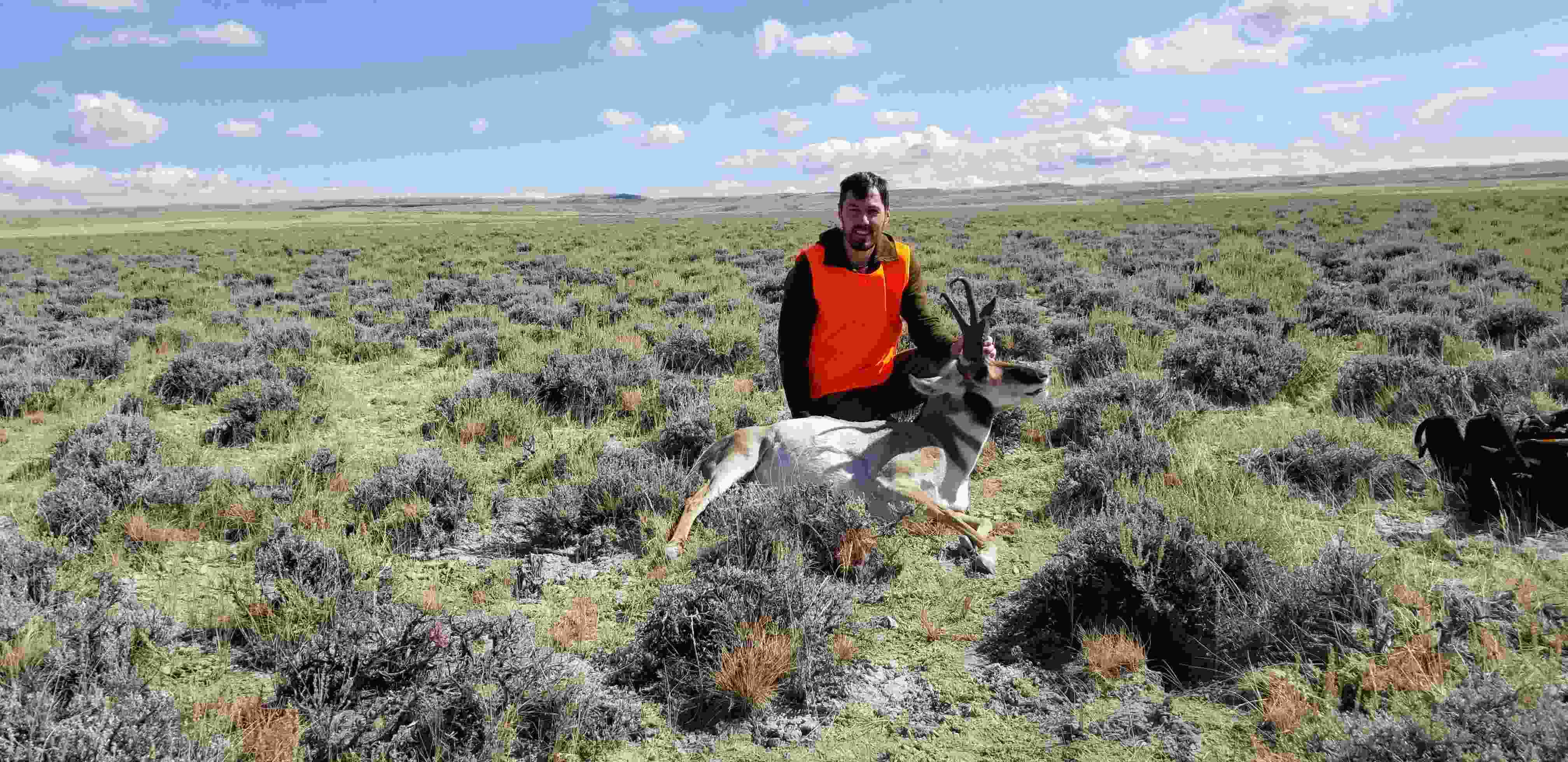 Top 5 2020 Colorado Leftover Tags HuntScore