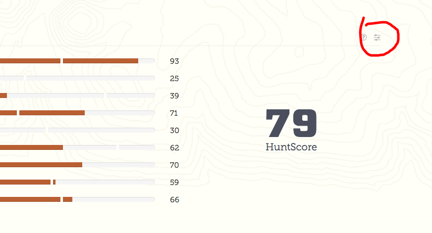 Score Feedback