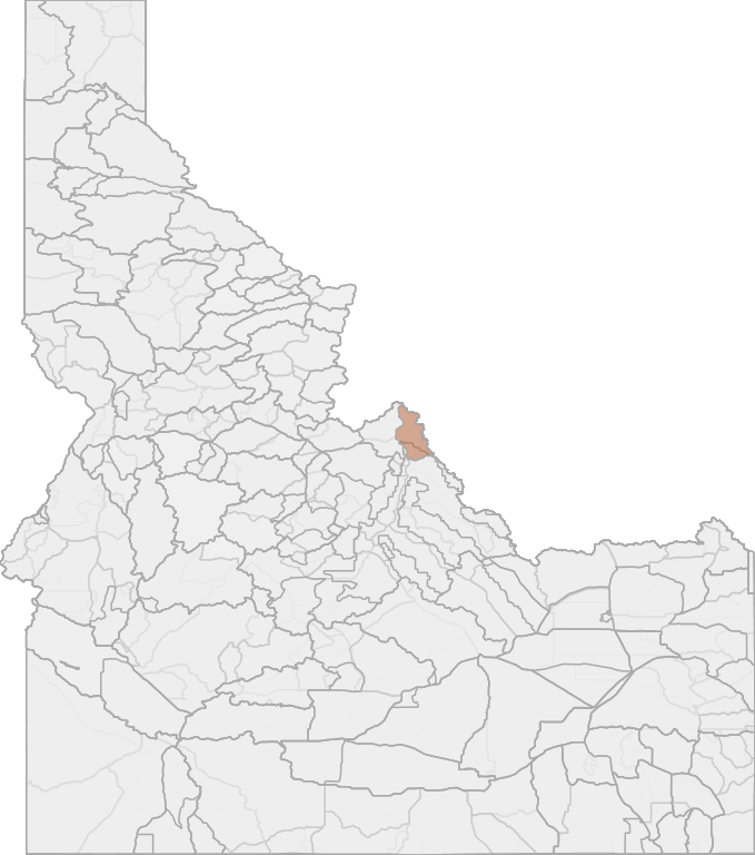 Black Bear Hunting in Idaho's Unit 21A Salmon Zone HuntScore