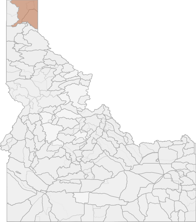 Elk Hunting in Idaho's Unit 11 (Controlled Hunt Oppty.) Panhandle