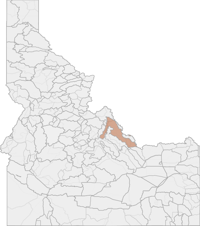 Elk Hunting in Idaho's Unit 21A1 (Controlled Hunt Oppty.) Salmon Zone